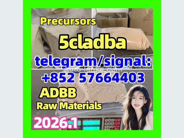5cl-adb Powder 5cl Adb 5cl 5cladba 5cl Raw Materials cas 137350-66-4