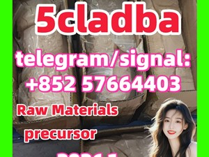 5cladba adbb raw material 5CL-ADB-A precursor raw 5cladba 5f adb 4fadb