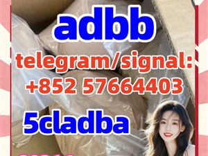 5CLADBA Yellow Powder Buy 5CL-ADB-A Cannabinoids 1119-51-3 68-12-2 dmf