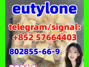 Eutylone Bk-ebdb Cas 802855-66-9/17764-18-0 at Best Price