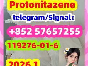 High quality CAS:119276-01-6 Protonitazene