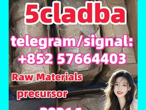 Raw materials 5cl-adb supplier 5cladba 5cladb vendor in stock