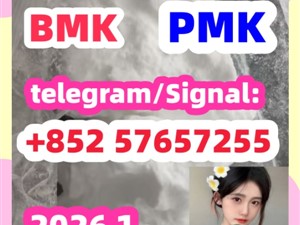 BMK Glycidic Acid sodium salt CAS 5449 - 12 - 7