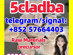 Top Quality adbb 5cladba Best cannabinoid 5cl-adba precursor raw material