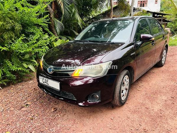Toyota Axio Car For Rent