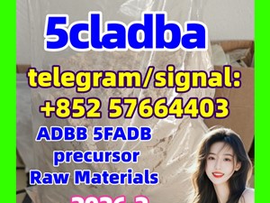 5cladba raw material 5CL-ADB-A precursor
