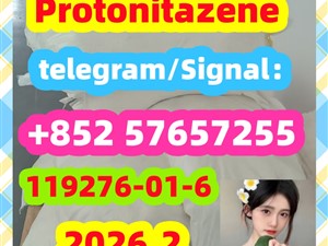 Protonitazene CAS 119276-01-6 High quality and low price