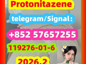 CAS 119276-01-6 Protonitazene