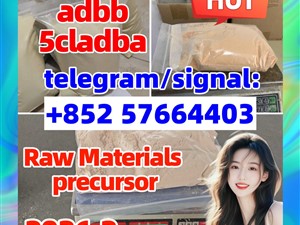 Strongest 5cladba raw material 5CL-ADB-A precursor powder and liquid