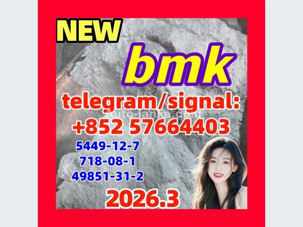 cas 5449-12-7 BMK Powder glycidate Bmk Glycidic Acid - Hong Kong