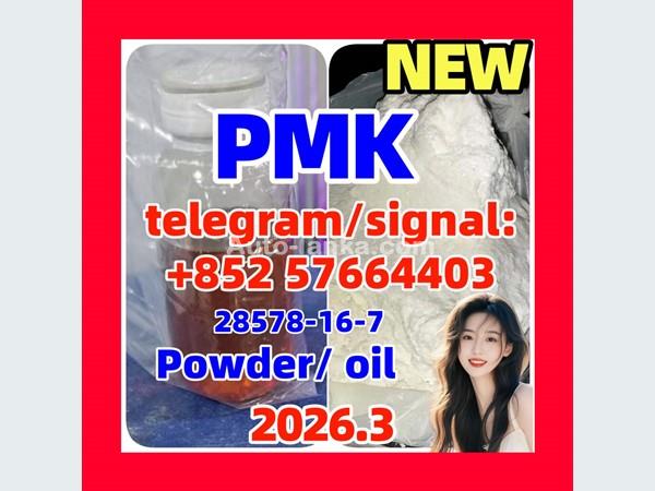Hot Selling Pharmaceutical Intermediates EU Russian PMK CAS 28578-16-7