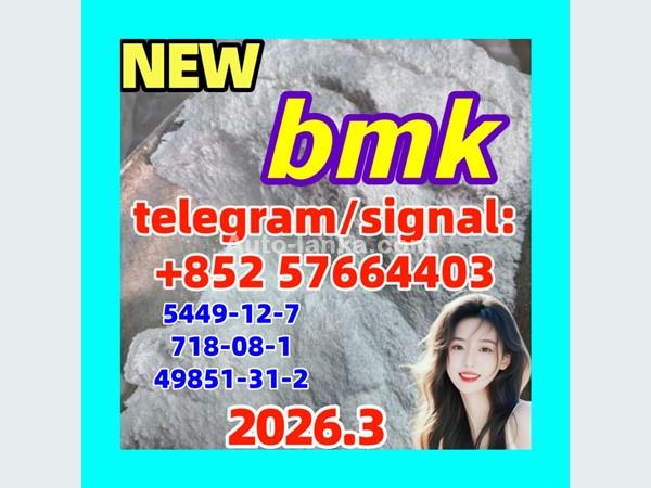 cas 5449-12-7 BMK Powder glycidate Bmk Glycidic Acid - Hong Kong