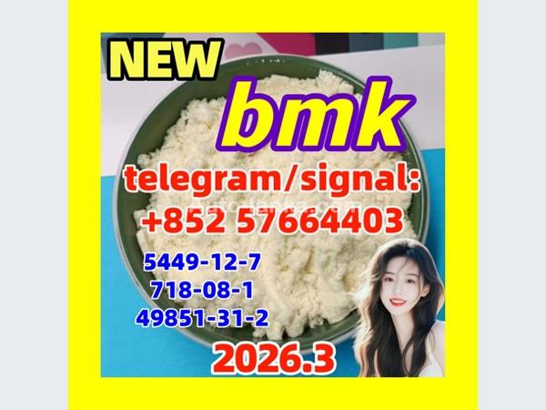 BMK Powder/Oil CAS 5449-12-7 with Germany Stock Pharmaceutical Intermediates