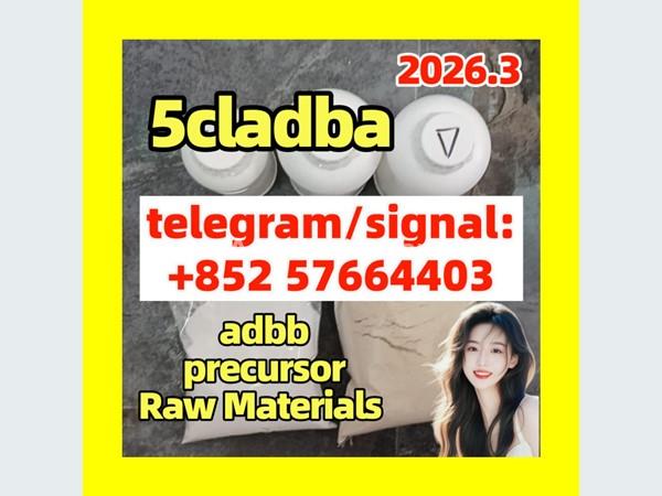 5cladba raw material 5CL-ADB-A precursor