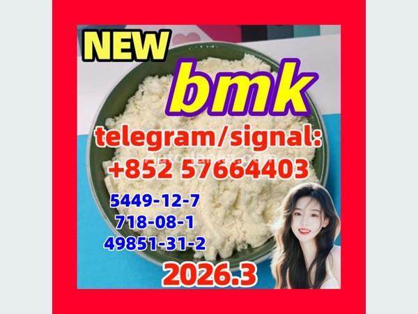 5449-12-7 BMK Glycidic Acid (sodium salt)