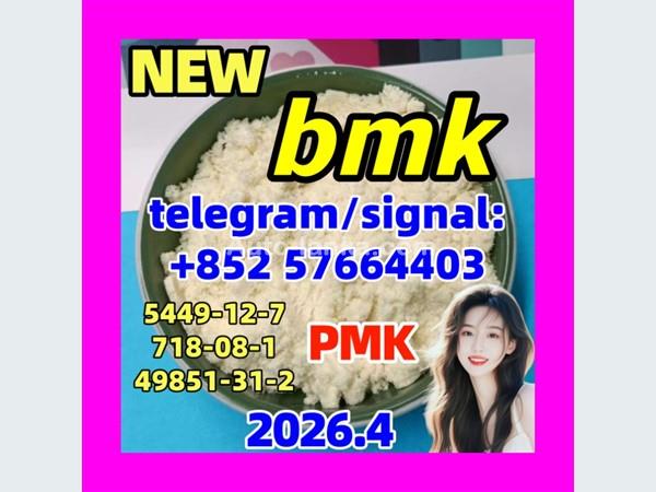 Bmk Powder Oil Cas 5449-12-7 at Best Price