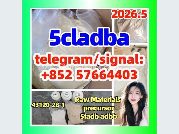 5cladba 5cl yellow powder 5cladba from best supplier