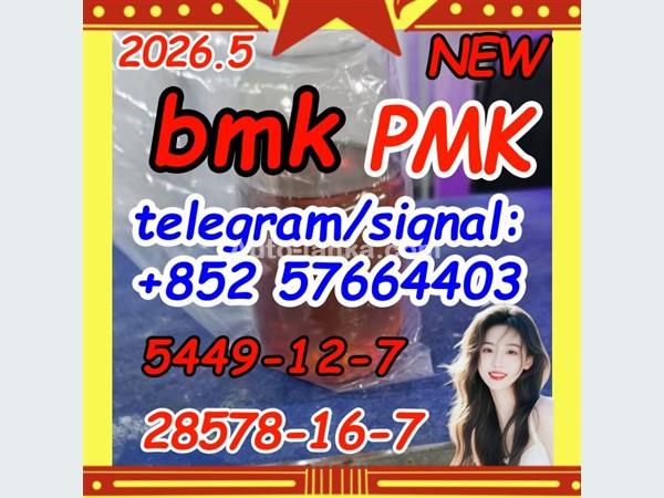 28578-16-7 PMK ethyl glycidate