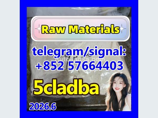 5CL-ADB supplier 5cladba 5cladb vendor on sale