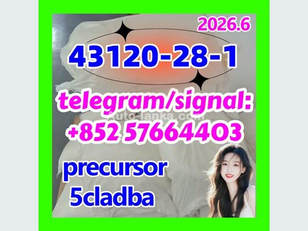 Chinese Factory Supply Wholesale Reliable Quality 43120-28-1 with Cheapest Price