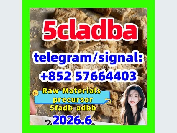 5cladb 5cladba 5cl 5cl Adb Strongest Cannabinoid In Stock From China at 10.00 USD at Best Price