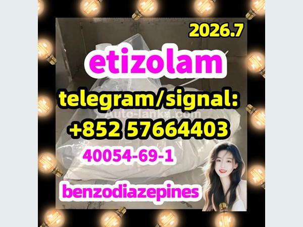 40054-69-1 etizolam