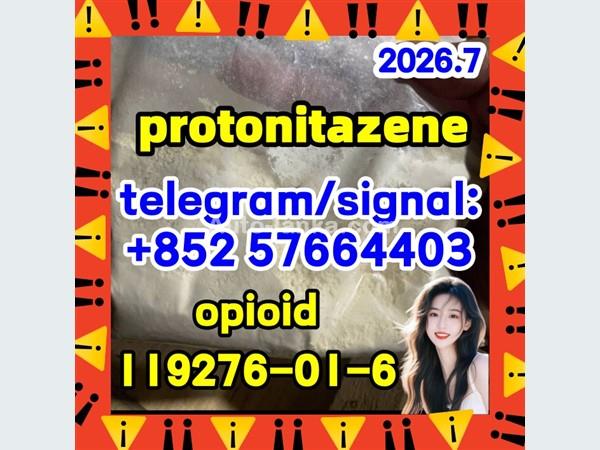Protonitazene hydrochloride CAS 119276 01 6