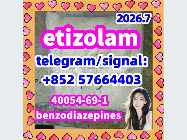 etizolam 40054-69-1