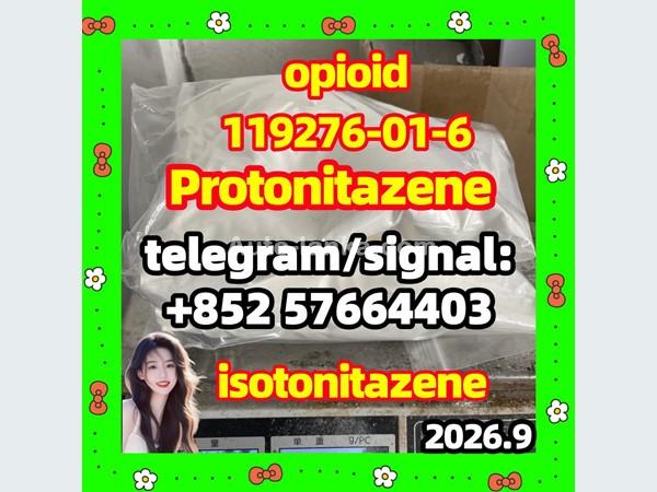 119276-01-6 Protonitazene (hydrochloride)