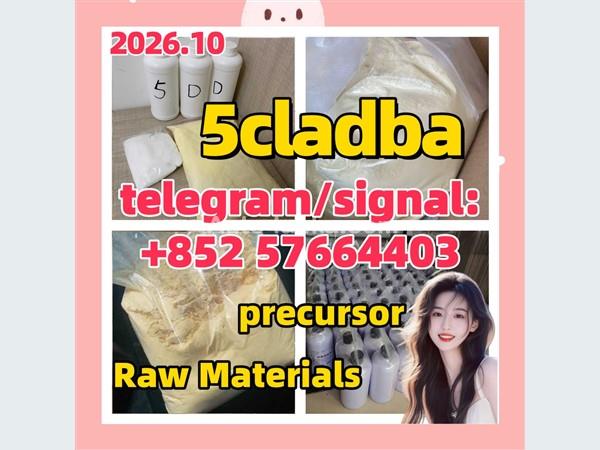 China Supplier 5cladba precursor raw 5cl-