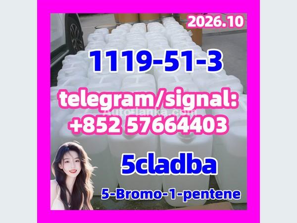 5cladba/5cladbb/JHW018/JHW2201 All 1119-51-3 5-Bromo-1-pentene