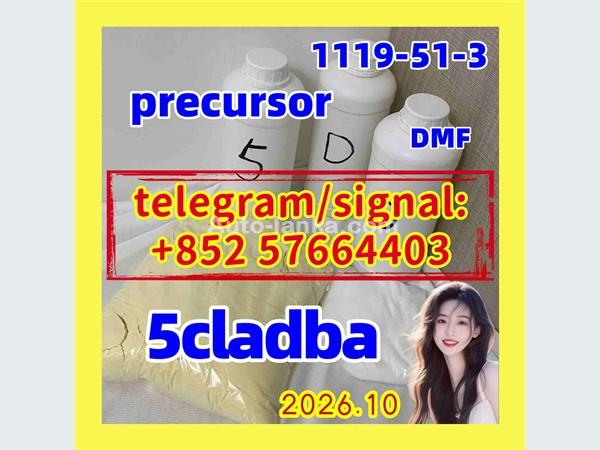 5 cladba precursor material 5cladba raw