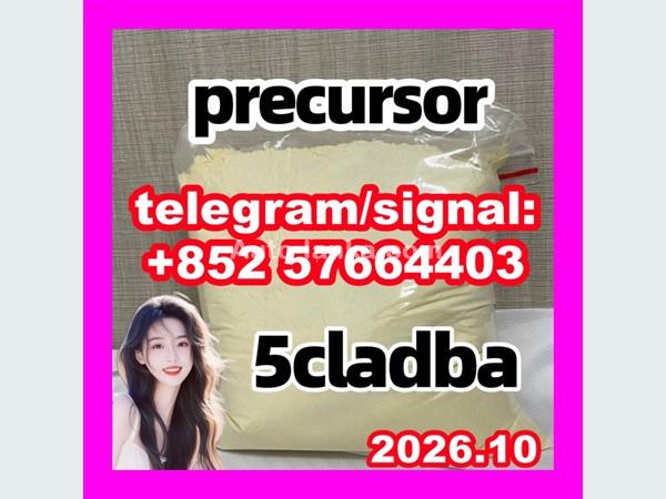 5cladba raw material 5CL-ADB-A precursor