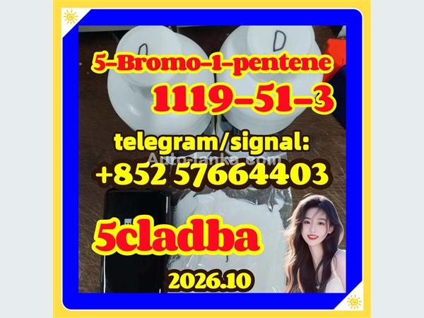 High Purity 1-bromo-4-pentene Cas 1119-51-3