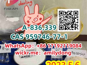 CAS 959746-77-1 A-836,339 Hot sale
